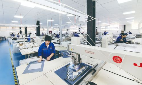 南樂縣集團(tuán)化戰(zhàn)略引領(lǐng)新材料服裝創(chuàng)新與就業(yè)增長